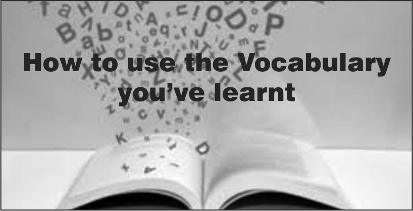 How to use the Vocabulary